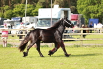 SBM_00693