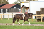 SBM_29544