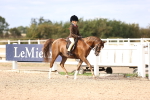 SBM_18008