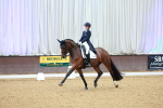 SBM_006935