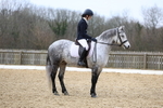 Pendarves Summer Dressage Series 09.03.2025 portfolio