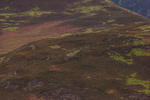 British Fell Relay-670