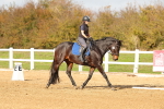 SBM_001741