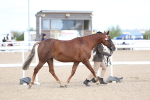 SBM_15450
