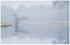 Calm Early Morning near Boyle, Co Roscommon