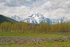 Grand Tetons Oxbow 1 12 x 18
