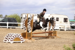 SBM_03537