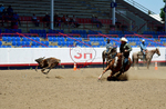 3HRodeo8-11-25_PRCASteer_05560_
