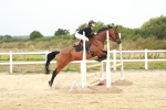 SBM_005423