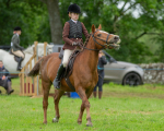 Dunblane show-96