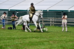 SBM_03772