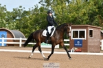 084-Mia.KirbyWFD.Wild.Thyme portfolio