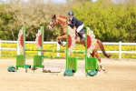 SBM_001541