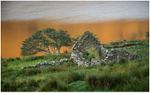 Morning Breeze rippling over Lough Nafooey, Co Galway