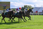 080926-Race 4-Kings Merchant-2518