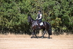 WJ6_6737