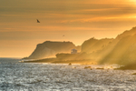 z3391 Late afternoon Sunlight over Steephill Cove