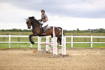 SBM_001736