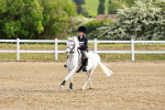 SBM_006445