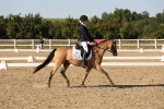 SBM_007016