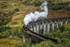 Jacobite Steam Train, Glenfinnan Viaduct _RLP87253