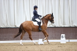 SBM_002932