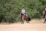 WJ6_8770
