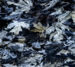 UNDER ICE #3 - NORFOLK COUNTY