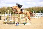 SBM_003433