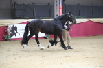 SBM_00539