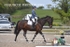 BPP_6264