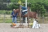 BPP_3601
