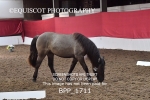 BPP_1711