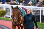 241025-Race 5-Jasko Des Dames-4250
