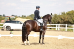 SBM_004209