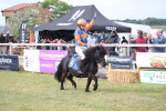 SBM_10193