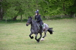 WJ6_1347