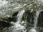 Water & Ice portfolio