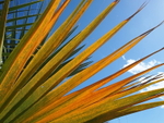 PA2301680321