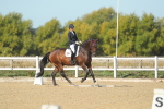 SBM_000709