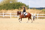 SBM_011867