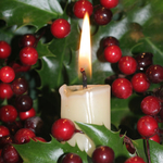 1  HOLLY AND BERRIES 1B