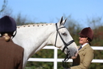 Class 9: Open Ridden Hunter portfolio