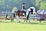 SBM_11494