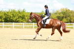 SBM_000397