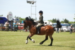 SBM_06939