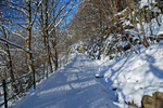 Fløyfjellet, Bergen