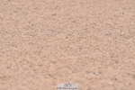 230720A-095622-01498