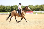 SBM_007805