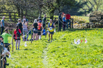 The Finish-726